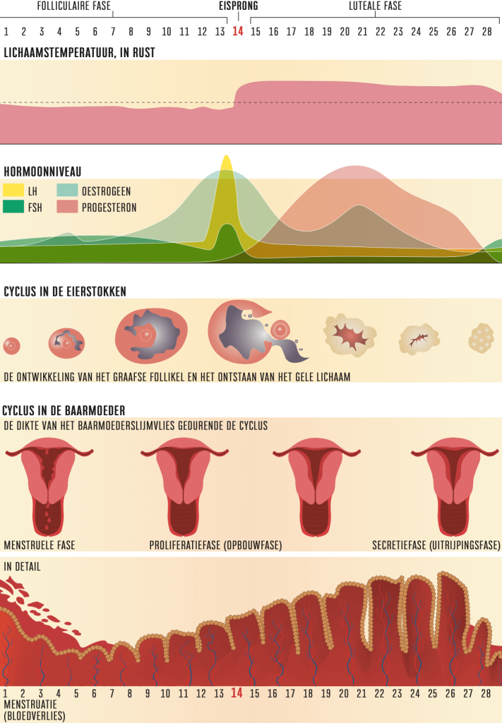 hormone balance course
