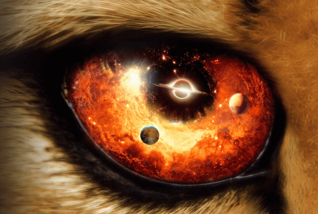 our universe docu