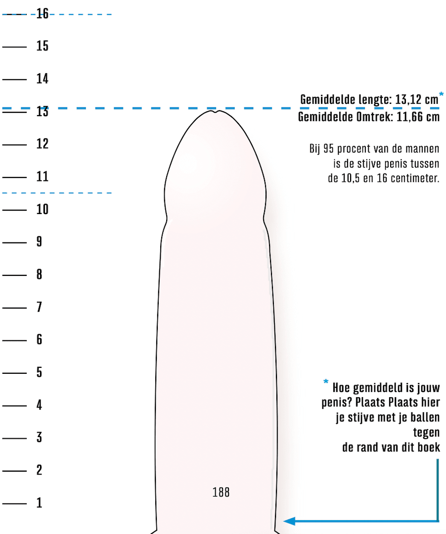 penis meten